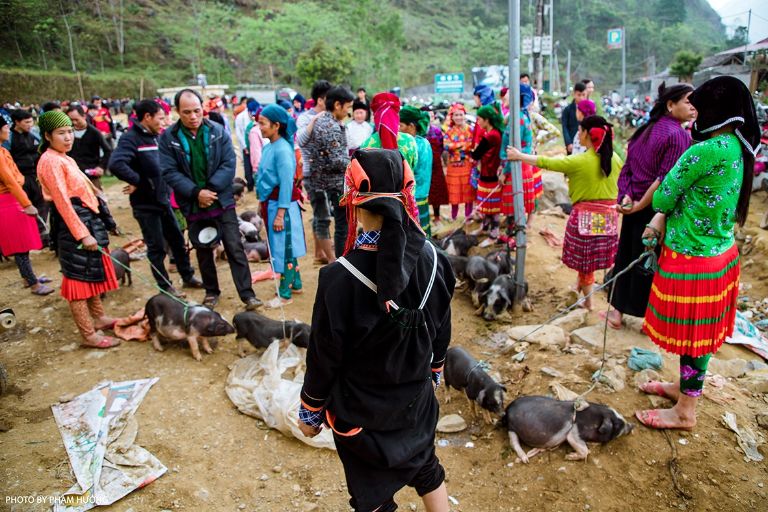 Chợ phiên phố cổ Đồng Văn đang tiến hành trao đổi lợn 