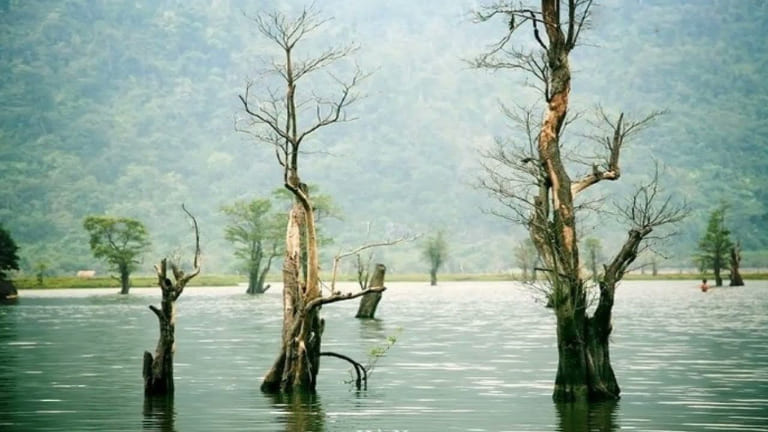Vẻ đẹp nguyên thủy hoang sơ của hồ Noong giữa núi rừng Hà Giang bạt ngàn