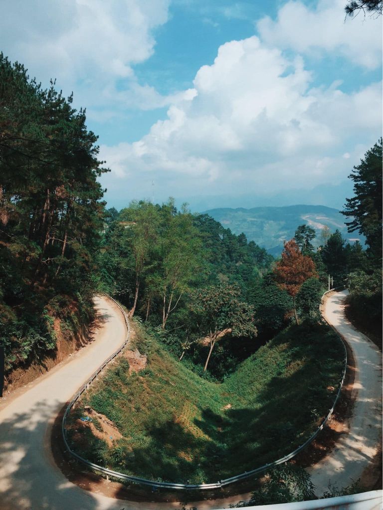 Đường lên rừng thông Yên Minh 