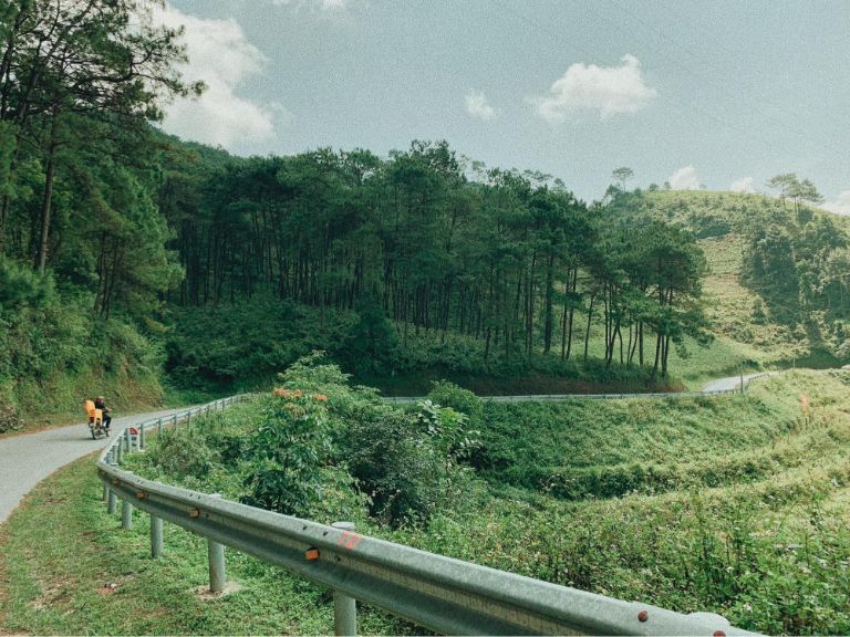 Cung đường đi qua rừng thông Yên Minh 