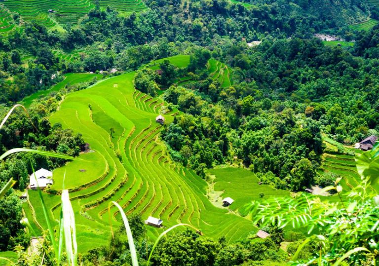 Nơi ngắm ruộng bậc thang đẹp nhất ở Hà Giang.