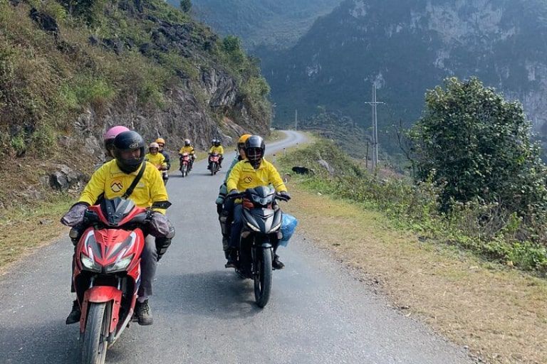 Khám phá Thông Nguyên Hoàng Su Phì Hà Giang bằng xe máy.