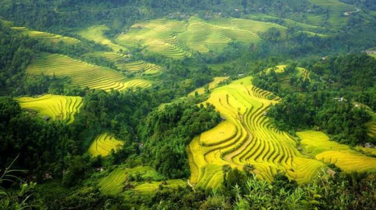 Khí hậu mát mẻ của vựa lúa lớn nhất Hà Giang 