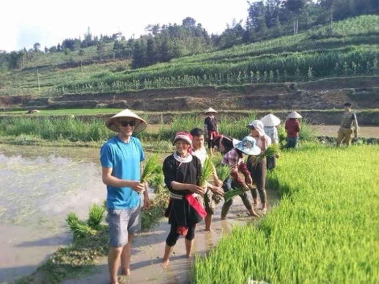Du khách tại Hong Thu Homestay & Bungalow tham gia cấy lúa