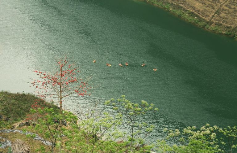 Hà Giang Mùa Nào Đẹp? Thời Điểm Lý Tưởng Du Lịch Hà Giang