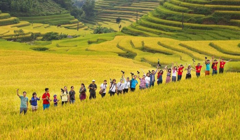 Cánh đồng lúa chín vàng trải dài khắp Hà Giang