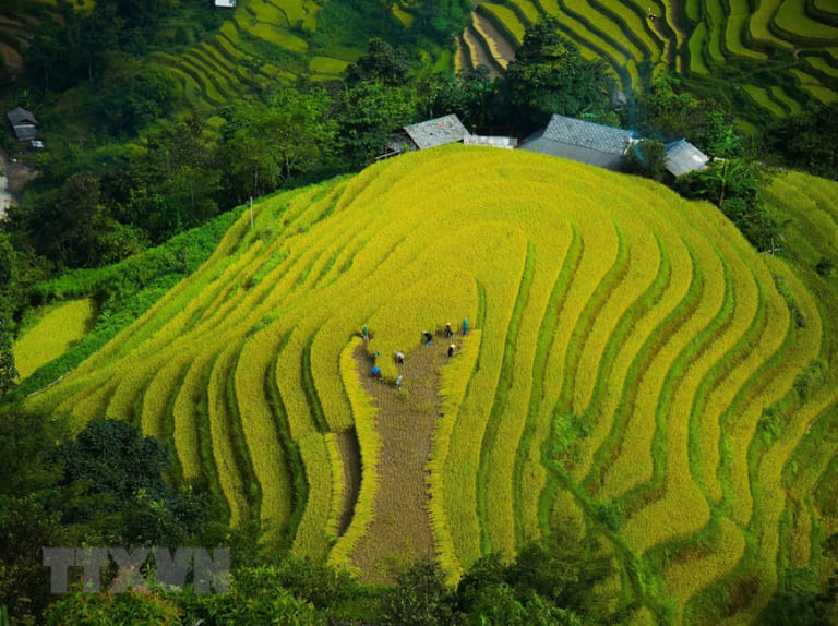 Kinh Nghiệm Phượt Xe Máy Một Mình An Toàn, Thú Vị, Đáng Nhớ