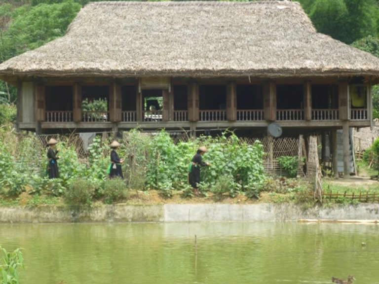 Làng văn hóa du lịch dân tộc Dao ngụ tại thôn Buông, xã Tiên Yên