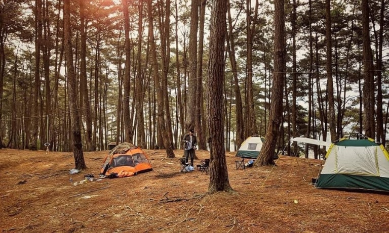 Bạn có thể tổ chức buổi cắm trại tại đây