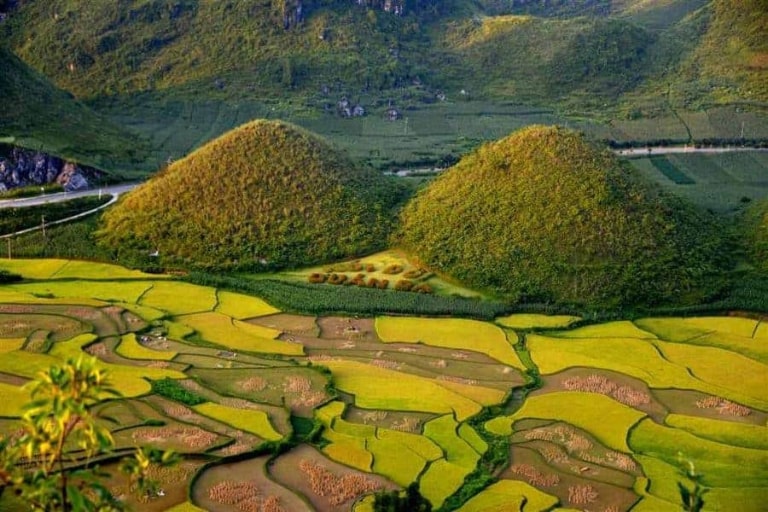 Hương lúa ngạt ngào tại núi đôi Quản Bạ
