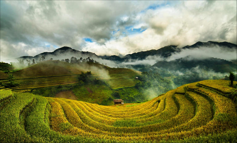 Hà Giang mùa lúa chín