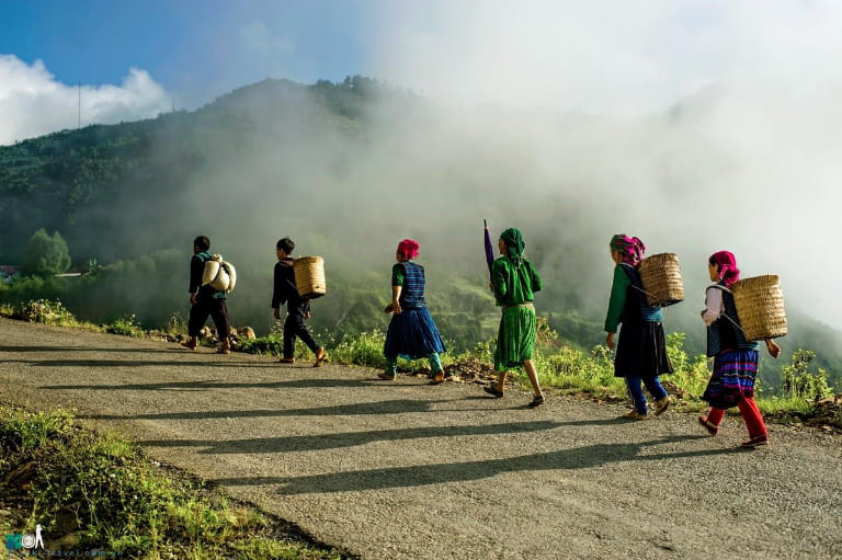 Tour Hà Giang Cao Bằng 4 Ngày 3 Đêm: Bảng Giá 2024, Lịch Trình