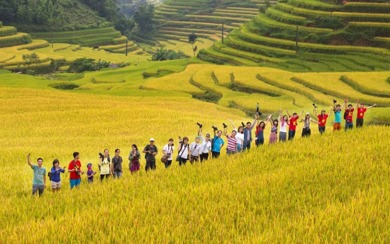 Hà Giang mùa lúa chín