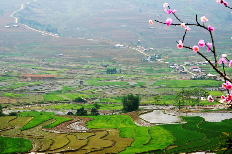 Tour du lịch Hà Giang - Mộc Châu