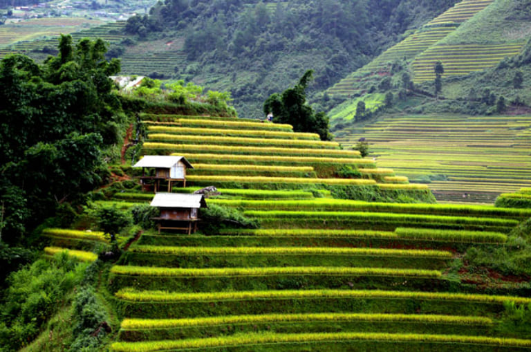 Tour Hà Giang Mù Cang Chải Có Gì Thú Vị? Báo Giá Chi Tiết