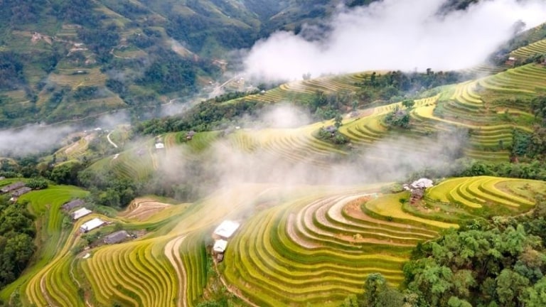 Những thửa ruộng bậc thang Hoàng Su Phì cao ngút chạm đến các lớp mây mù