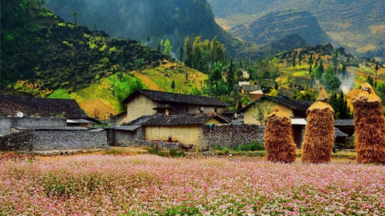 Chiêm ngưỡng vẻ đẹp tại bản Sùng Là Hà Giang