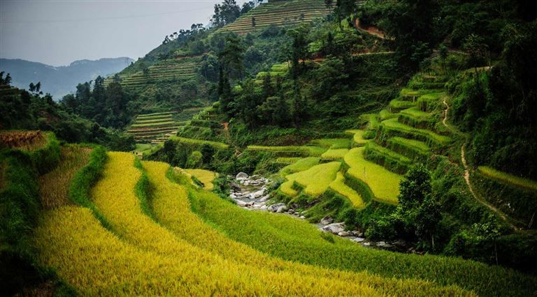  Tour du lịch Hoàng Su Phì mang đến cho du khách cảm giác mới lạ