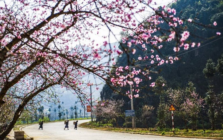 Mùa xuân tại Hà Giang